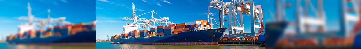 LCL Seefracht, CargoLine verschifft Stückgut, seafreight, oceanfreight